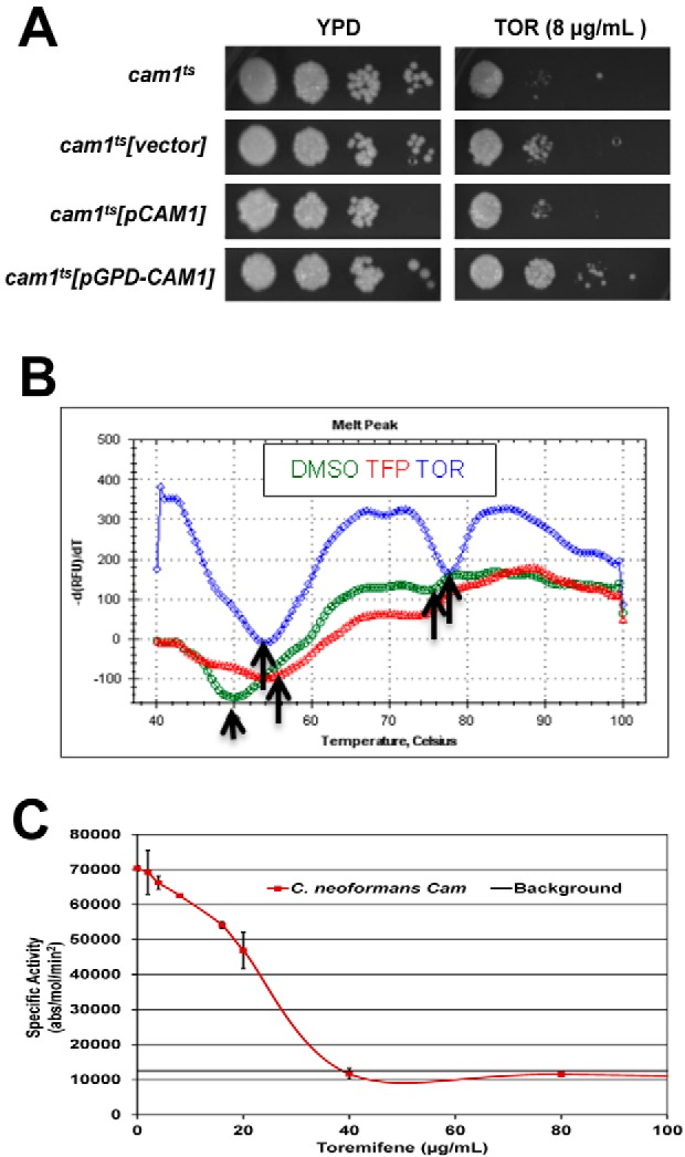 FIG 2 