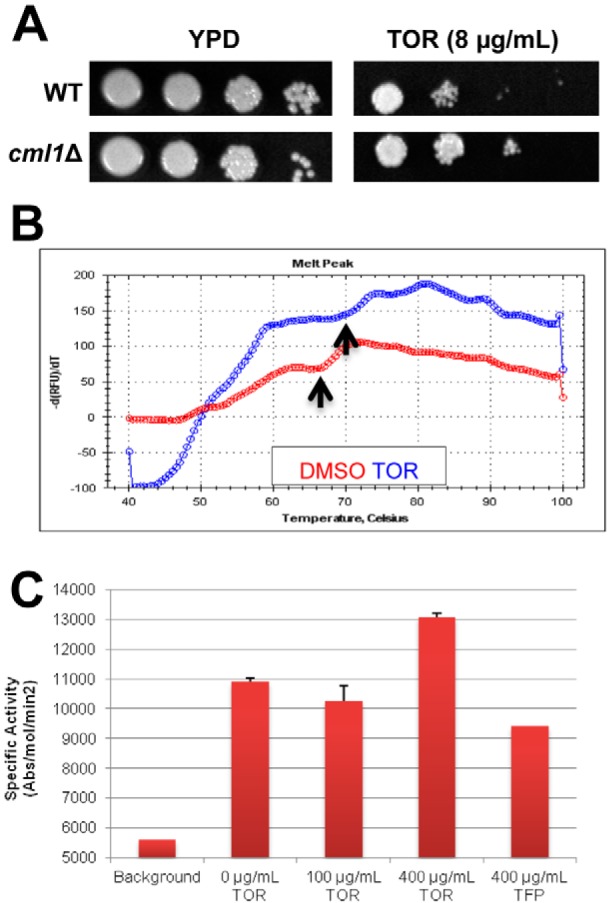 FIG 4 