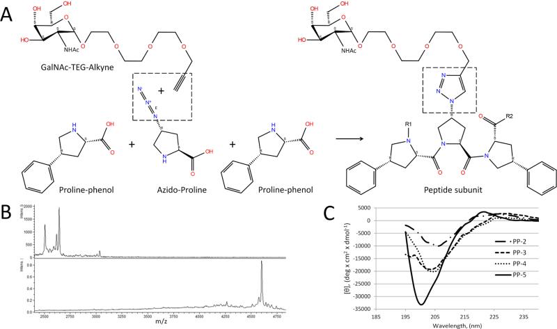 Fig.1