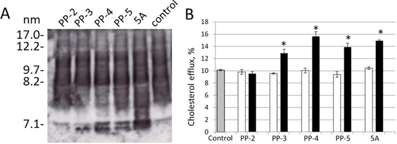 Fig.4