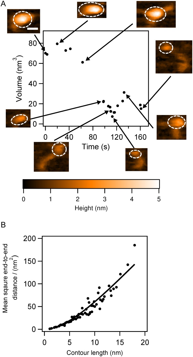 FIG. 2.