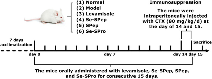 FIGURE 1