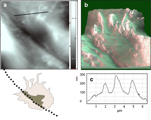 Fig. 7