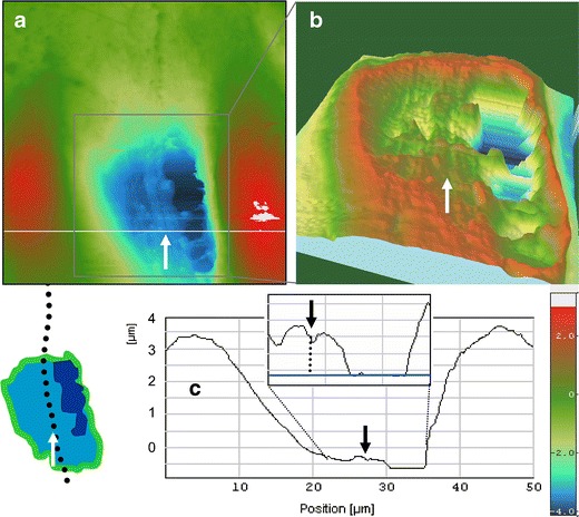 Fig. 8