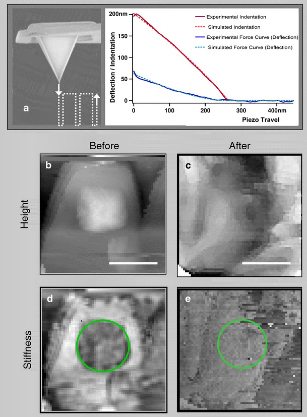 Fig. 4