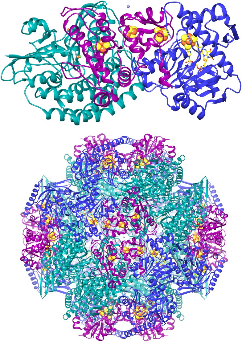 Figure 14.