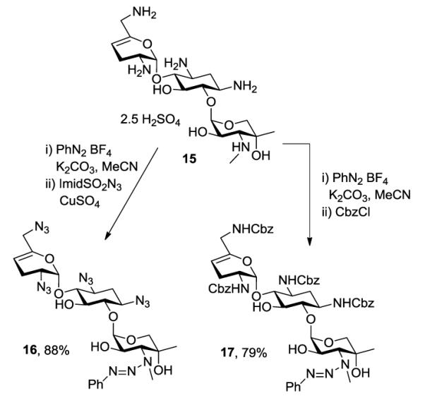 Scheme 2