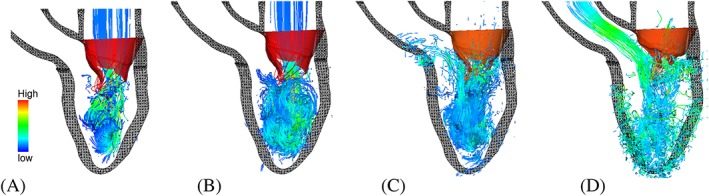 cnm2858-fig-0002