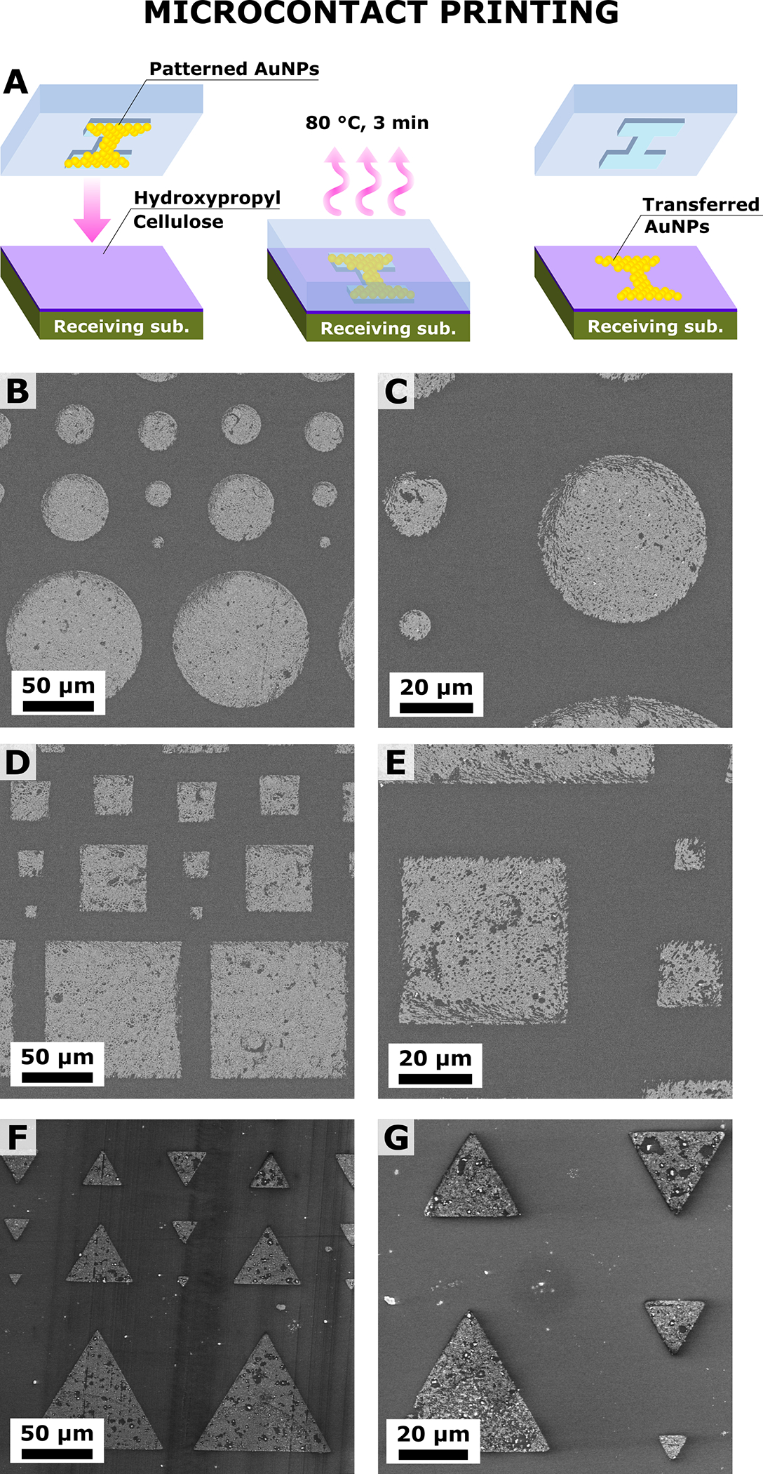 Figure 3: