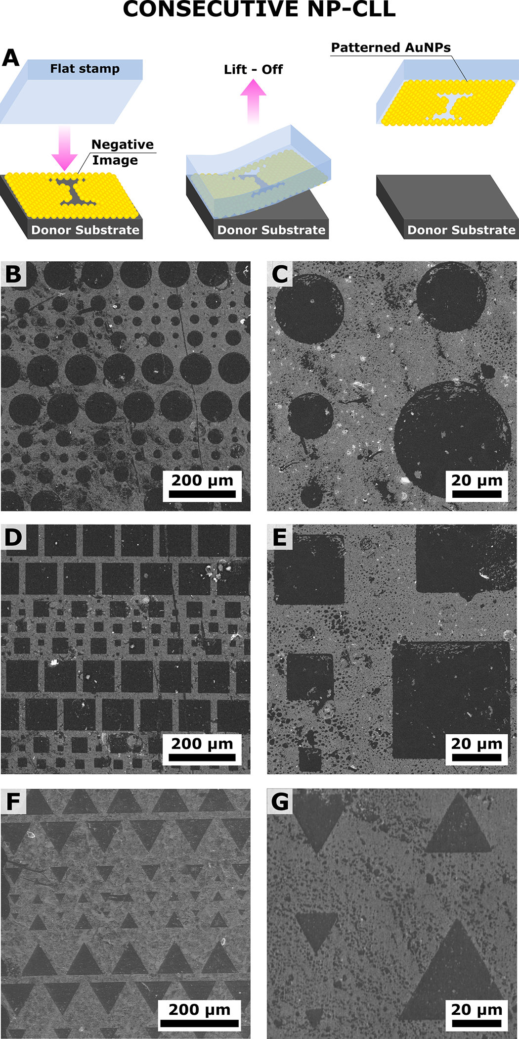 Figure 2: