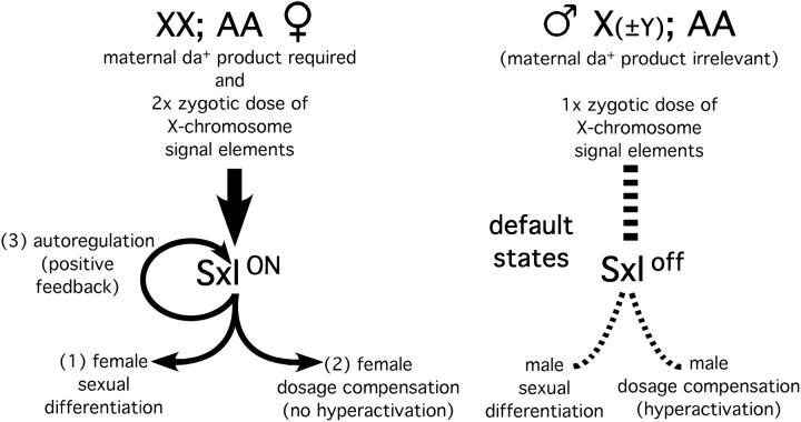 Figure 1.—