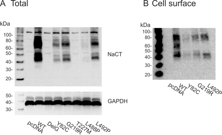 Figure 3.