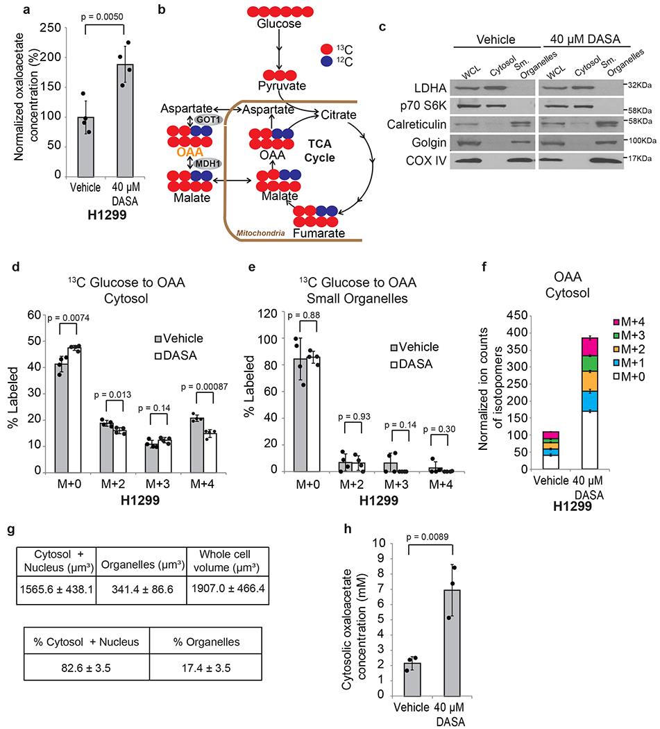 Figure 4: