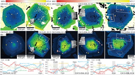 Fig. 1