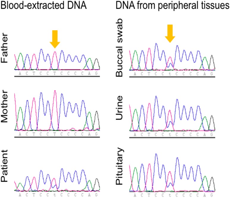 Figure 4.