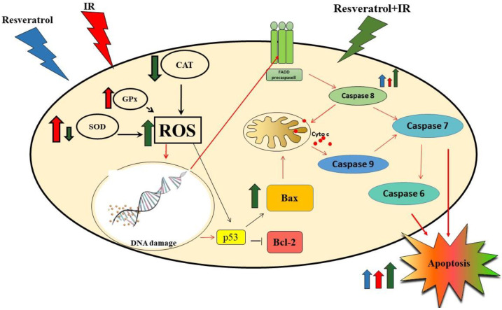 Figure 10