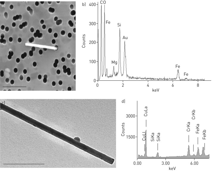 FIGURE 4