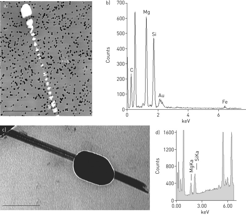 FIGURE 5