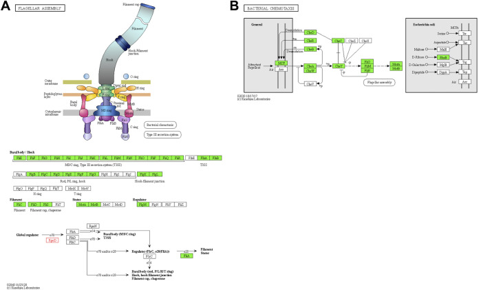 FIG 3