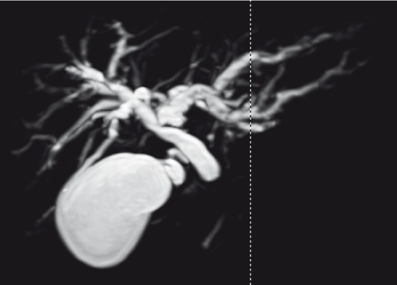 Fig. 2