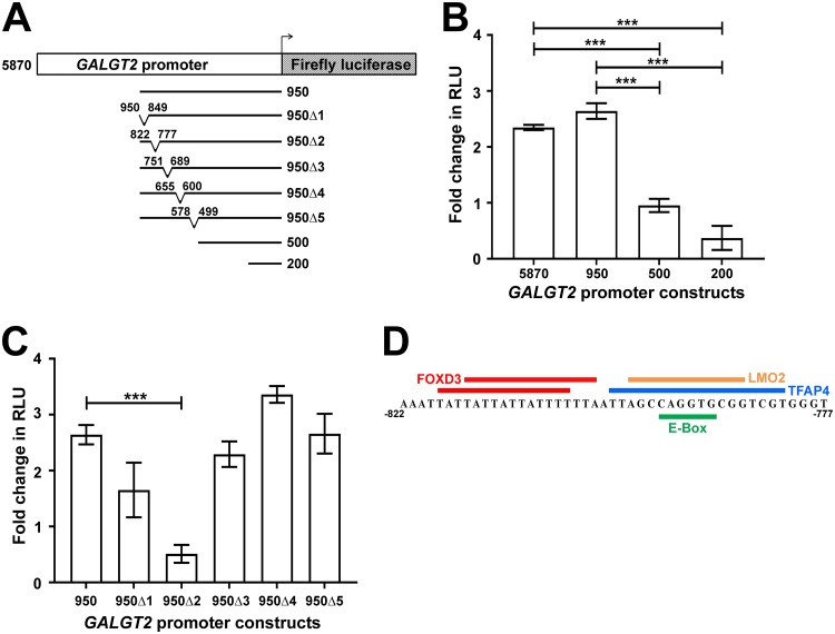 FIG 2