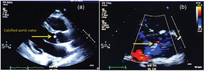 Figure 5.