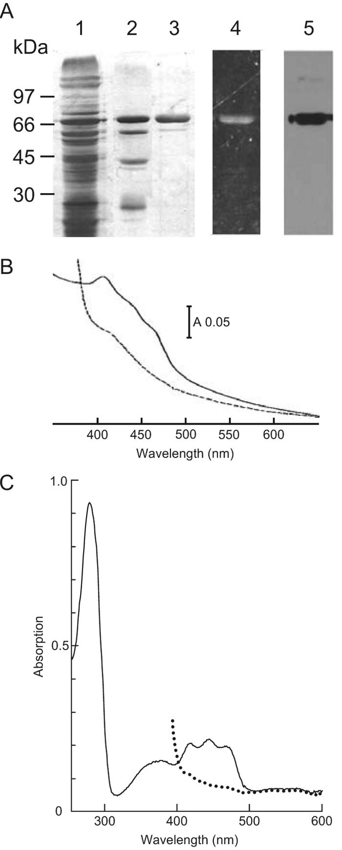 FIG. 4.