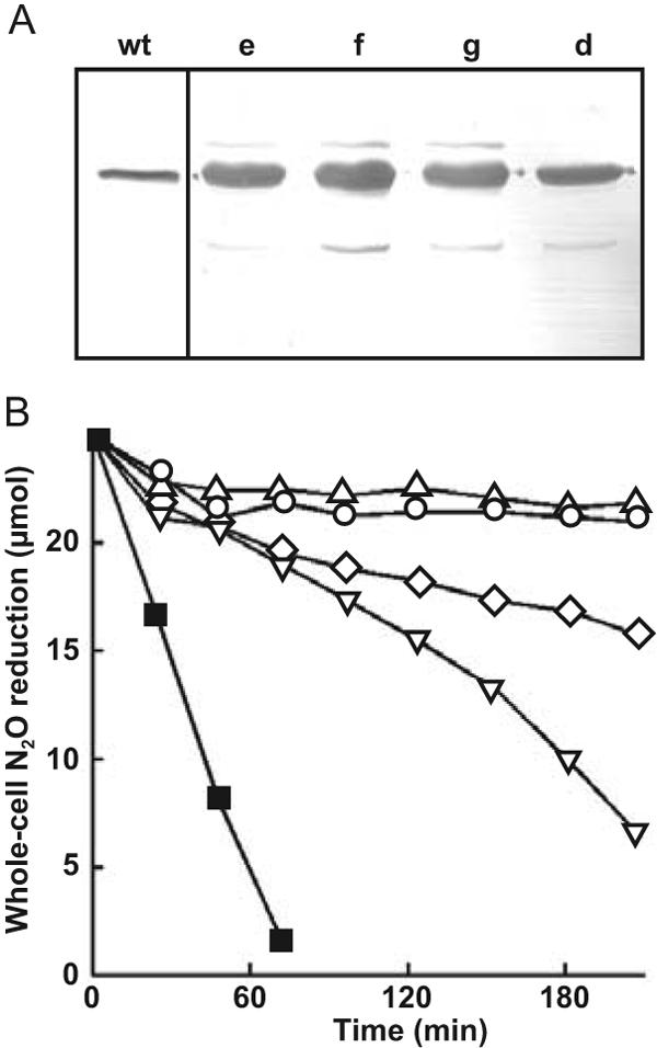 FIG. 5.