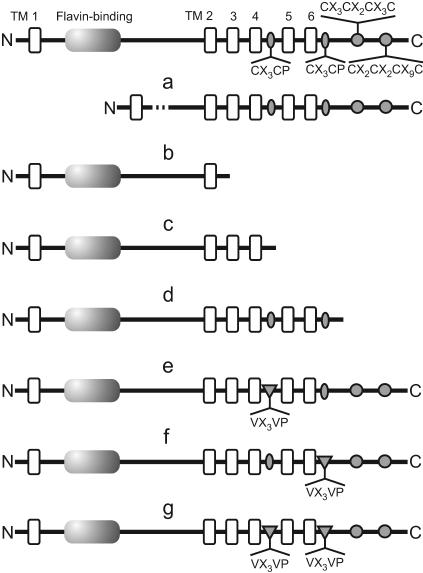 FIG. 2.