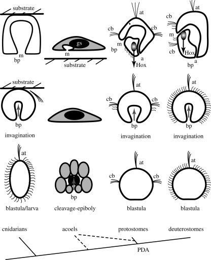 Figure 3.