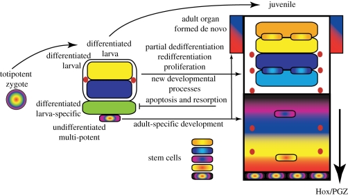 Figure 4.