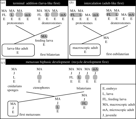 Figure 2.