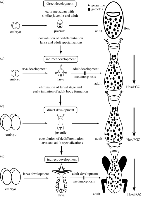 Figure 5.