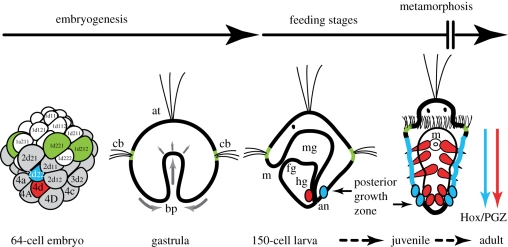 Figure 1.