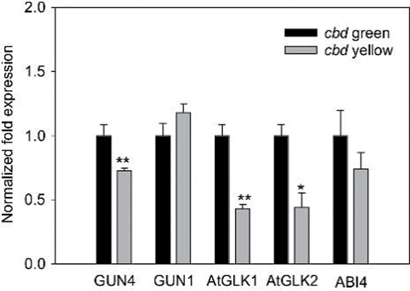 Fig. 5. 