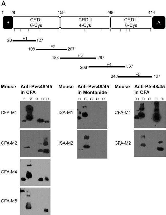 Fig 5