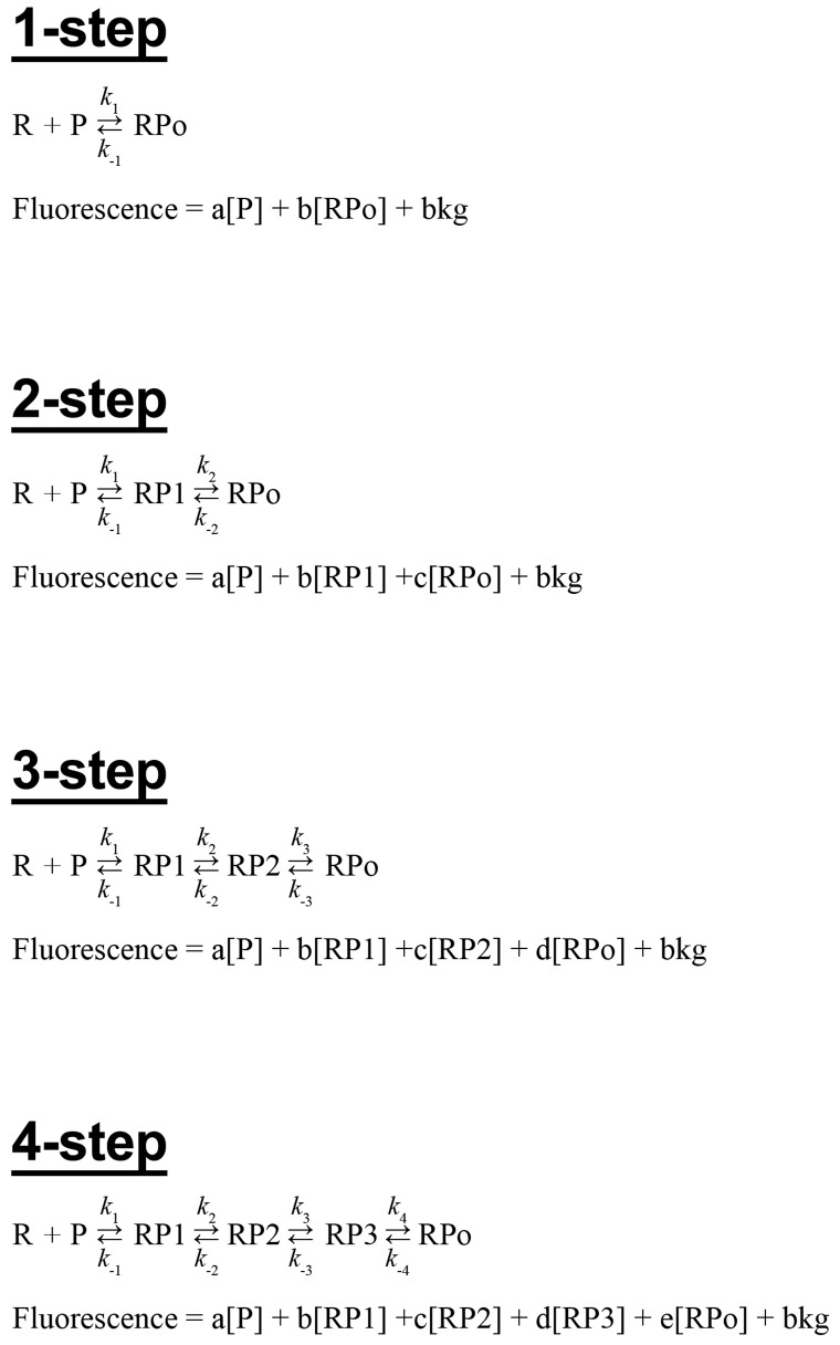 Appendix 1—figure 1.