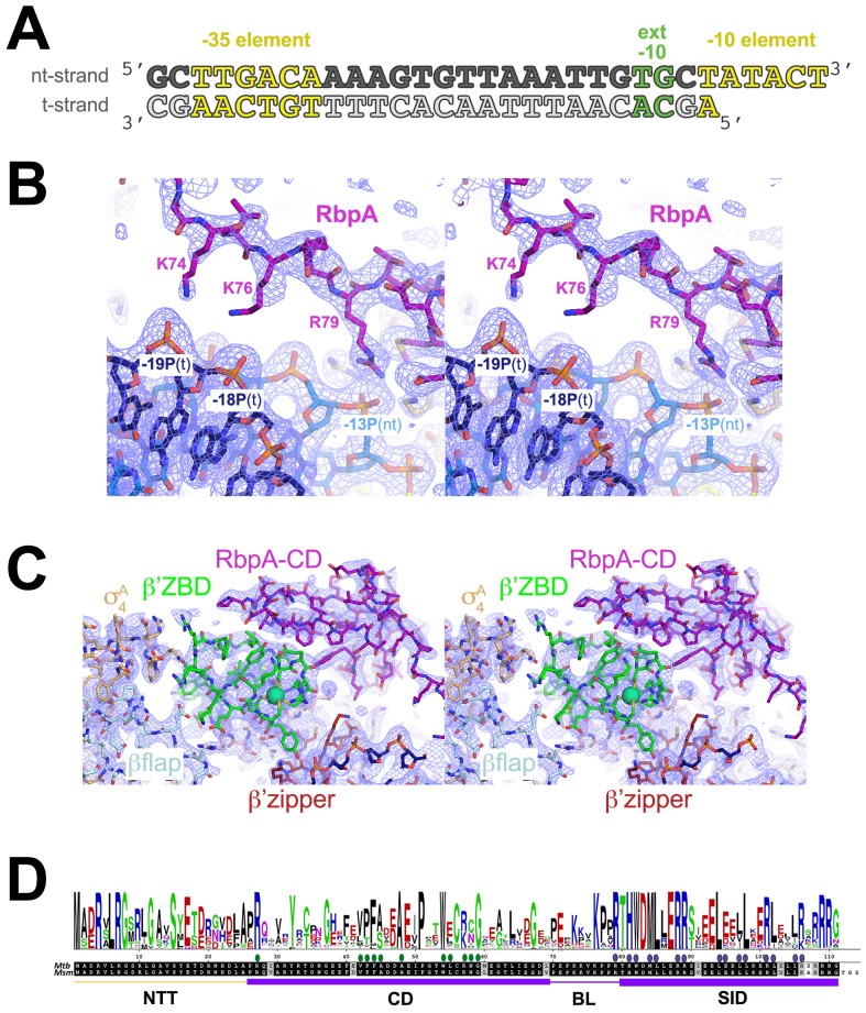 Figure 1—figure supplement 1.