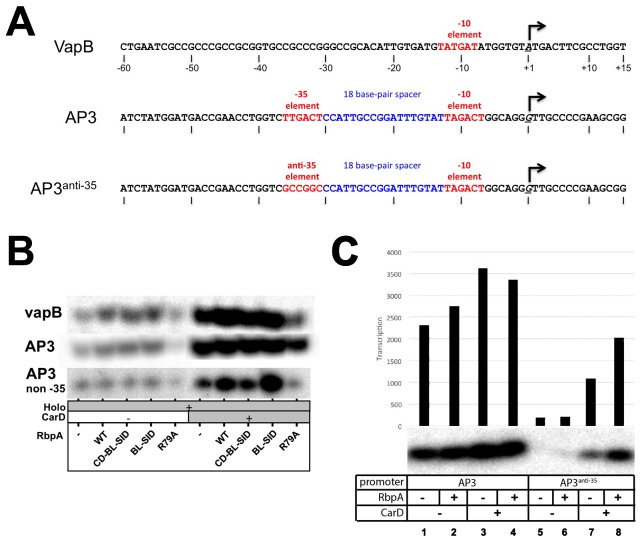 Figure 2—figure supplement 1.