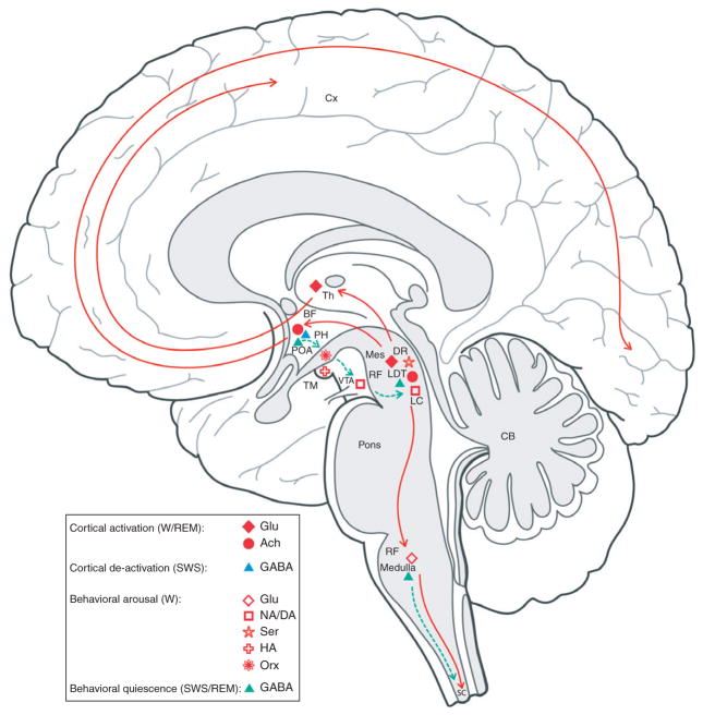 Fig. 9.1