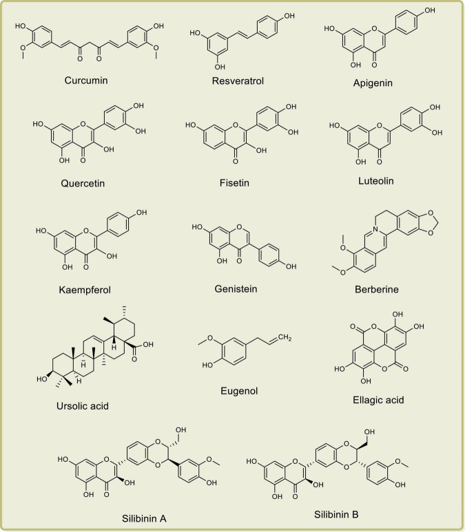 FIGURE 1