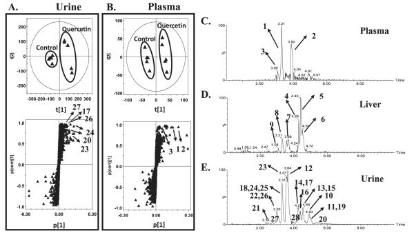 FIG. 6