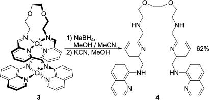 Scheme 3.