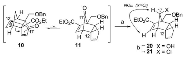 Scheme 6