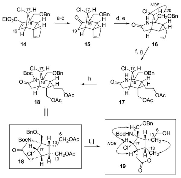 Scheme 5