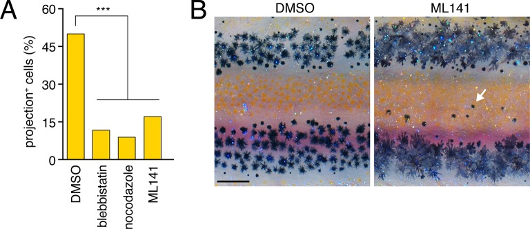 Figure 4—figure supplement 1.