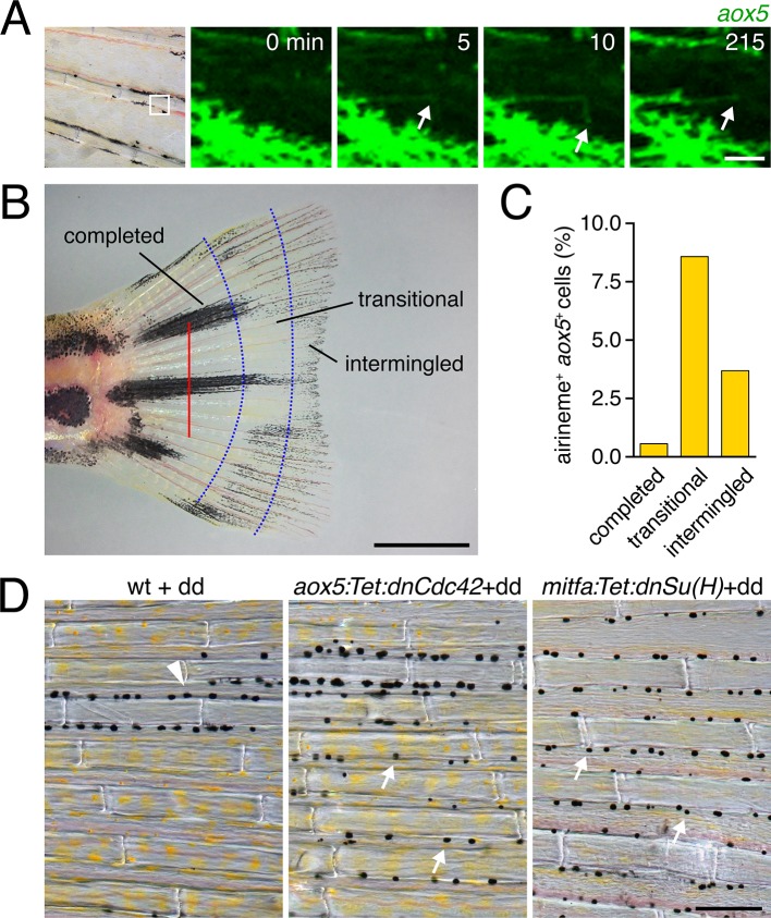 Figure 5—figure supplement 4.