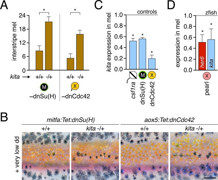 Figure 5—figure supplement 5.