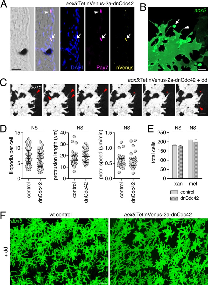 Figure 4—figure supplement 2.