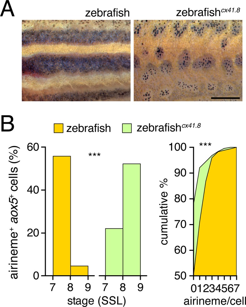 Figure 4—figure supplement 4.